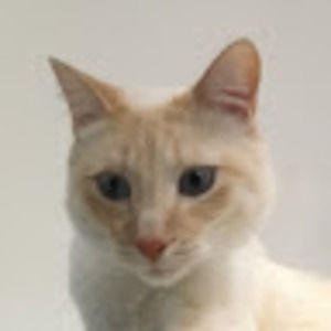 Meet your Posher, Timbit18